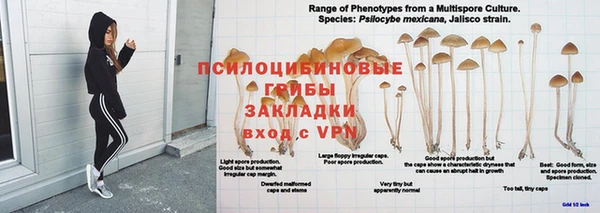 apvp Зарайск