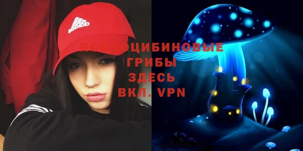 дмт Заречный