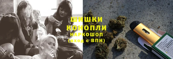 дмт Заречный