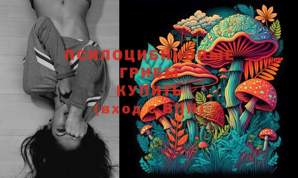 тгк Заполярный