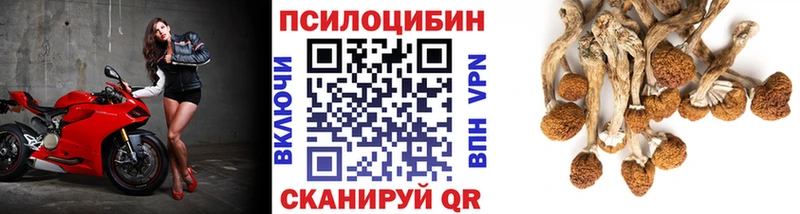 что такое наркотик  Кировград  Галлюциногенные грибы мухоморы 